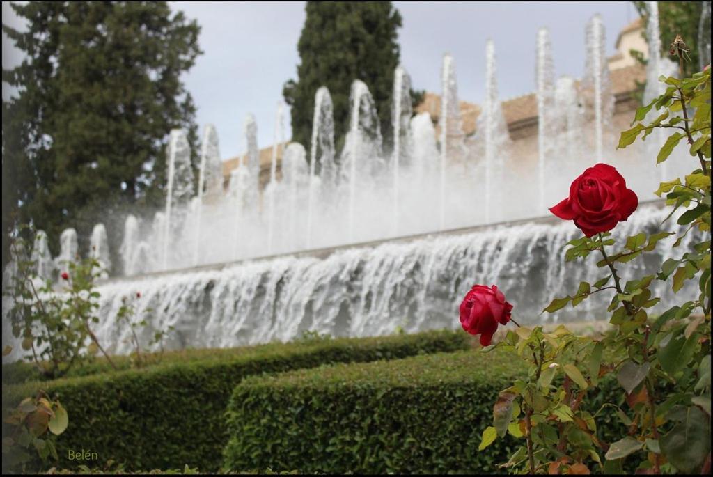 Jardines Del Triunfo Apartamentos Granada Exterior photo
